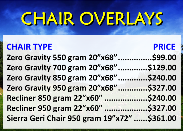 Recliner Zero Gravity Reflexology And Sierra Geri Chair